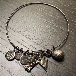 Alex and Ani Game of Thrones multi charm bangle